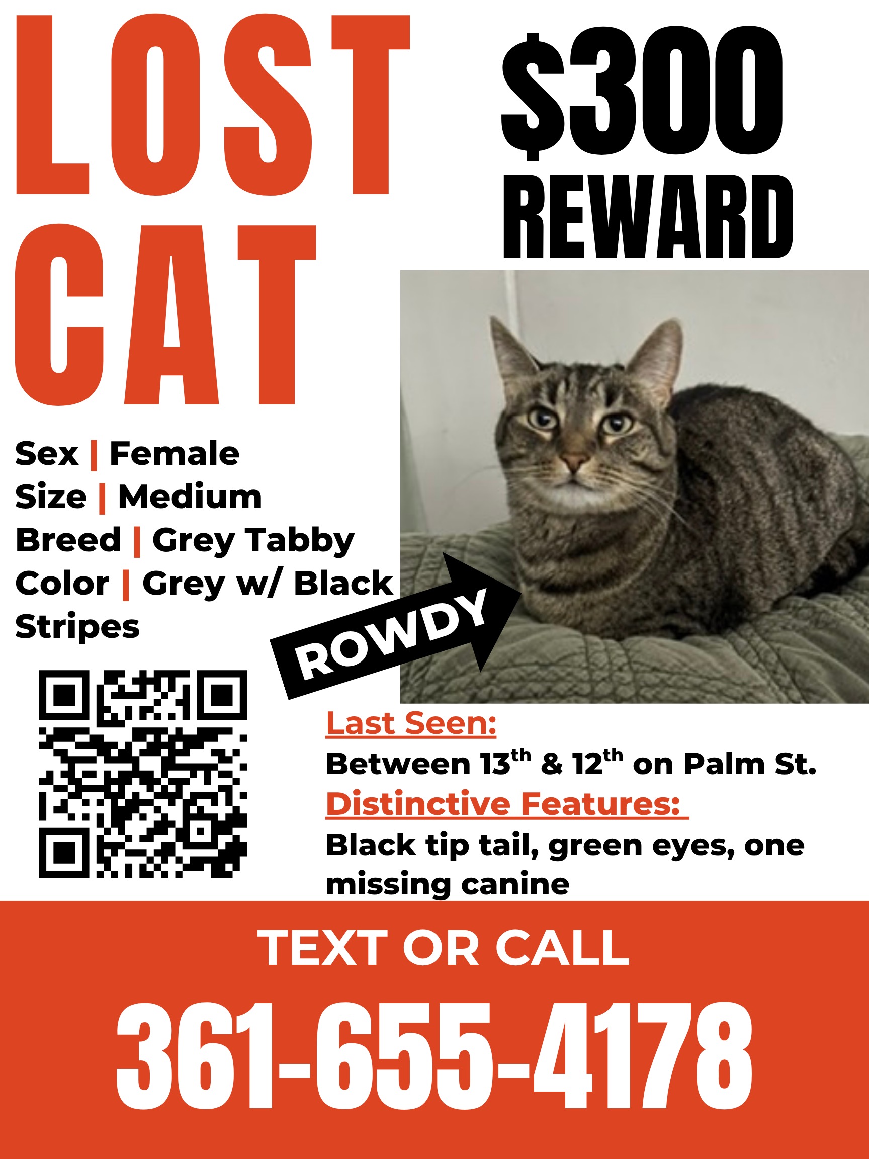Flyer showing missing cat named Rowdy